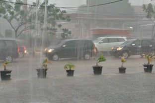 BMKG prediksi hujan masih akan terjadi dan berpotensi disertai angin kencang di Riau (foto/ilustrasi)